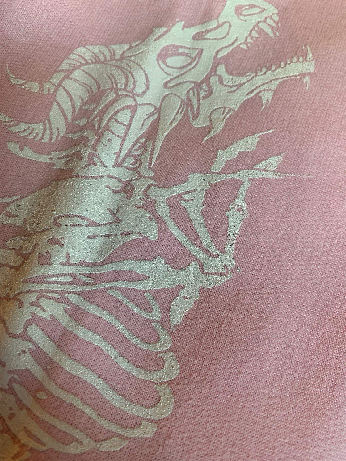 Felpa RNR BRAND Genderless Dinosaur Bones